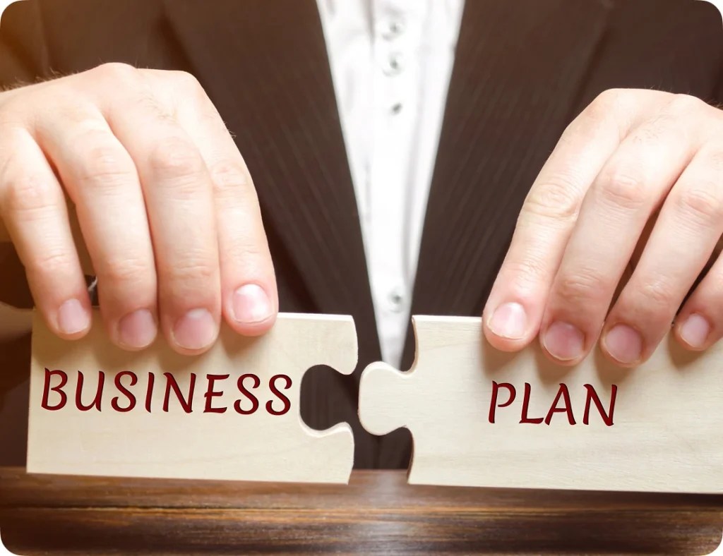 Collar Assist-The Business Entity Structure Playbook