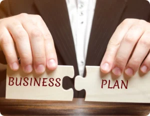 The Business Entity Structure Playbook
